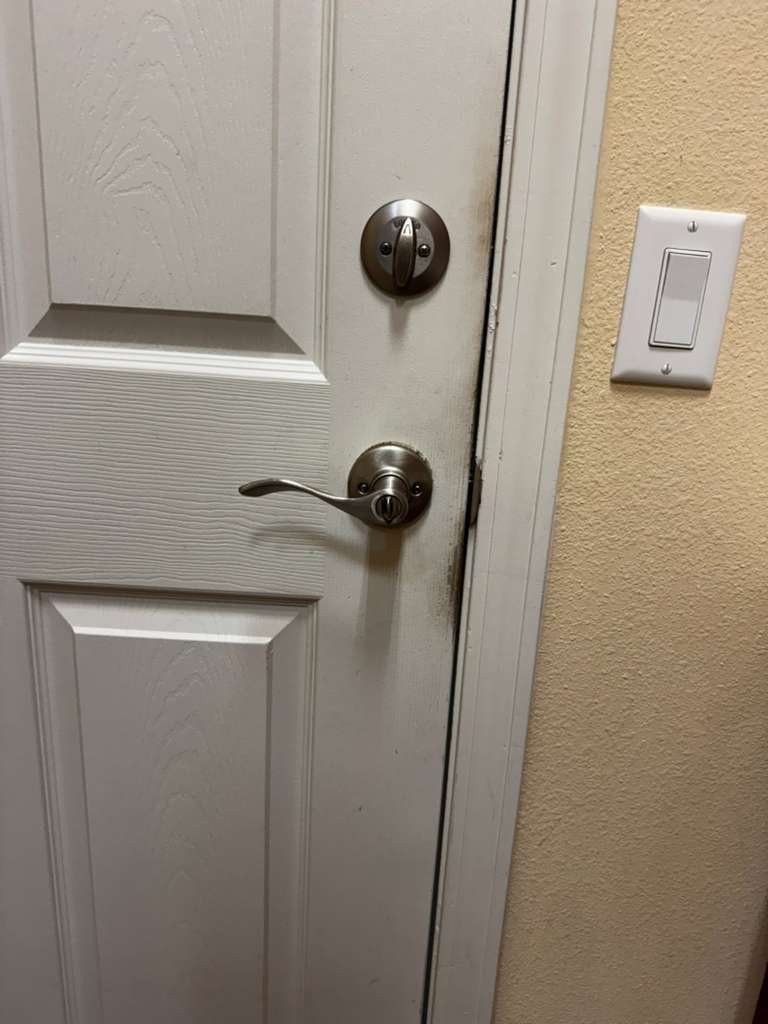 whatsapp image 2026 03 03 at 4.28.50 pm (2)