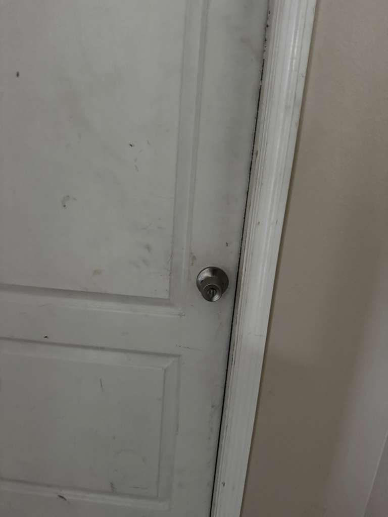 whatsapp image 2026 03 03 at 4.28.52 pm